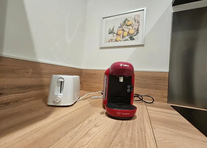 Le Petit Cocon De Saint-Brieuc